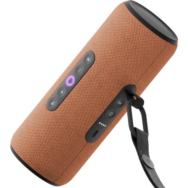 Портативная умная колонка Яндекс Станция Стрит 30Вт (YNDX-00030), Оранжевый